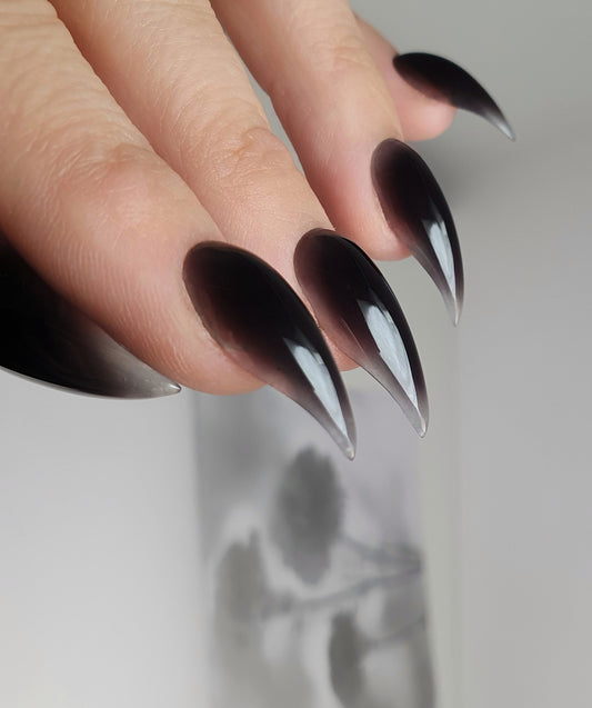 Black Nails, Gently Curved Claws of Medium Length with Transparent Tips