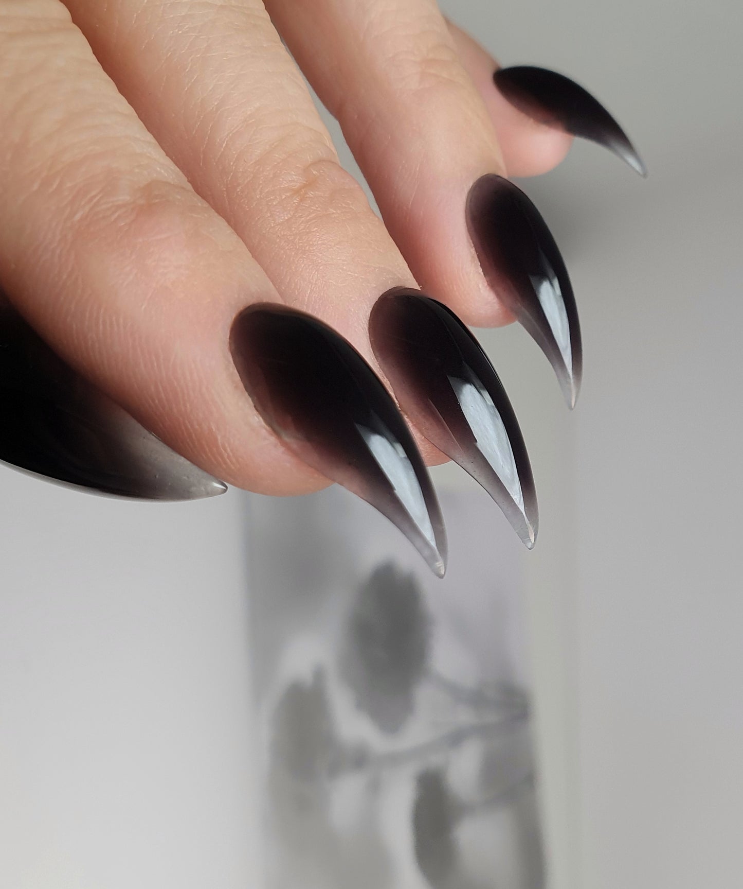 Black Nails, Gently Curved Claws of Medium Length with Transparent Tips
