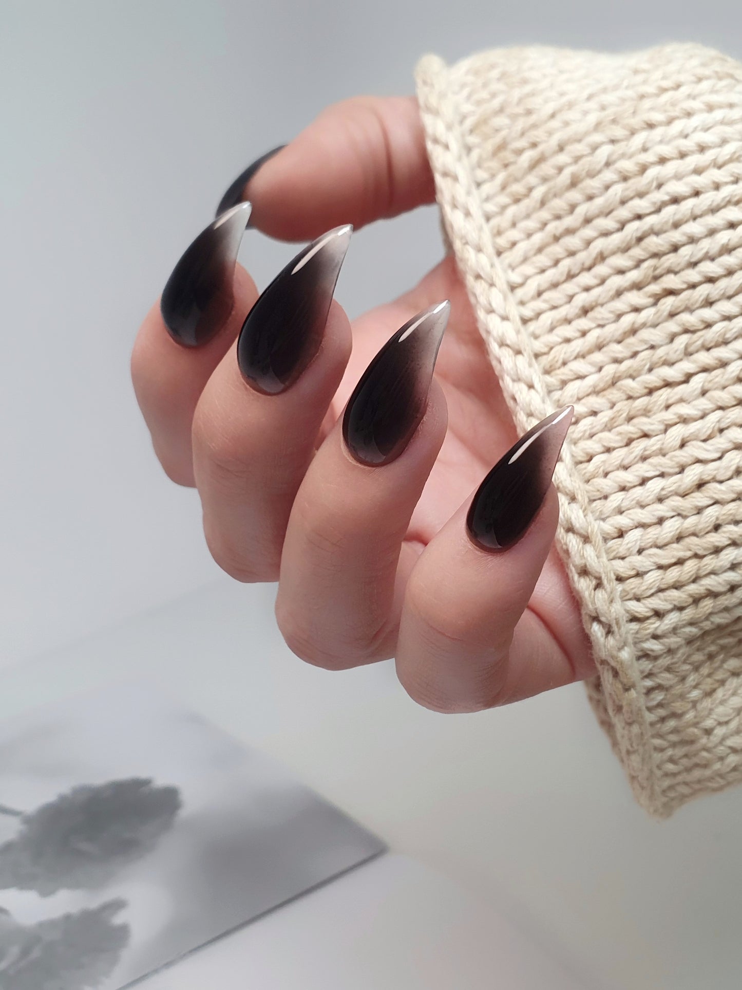 Black Nails, Gently Curved Claws of Medium Length with Transparent Tips
