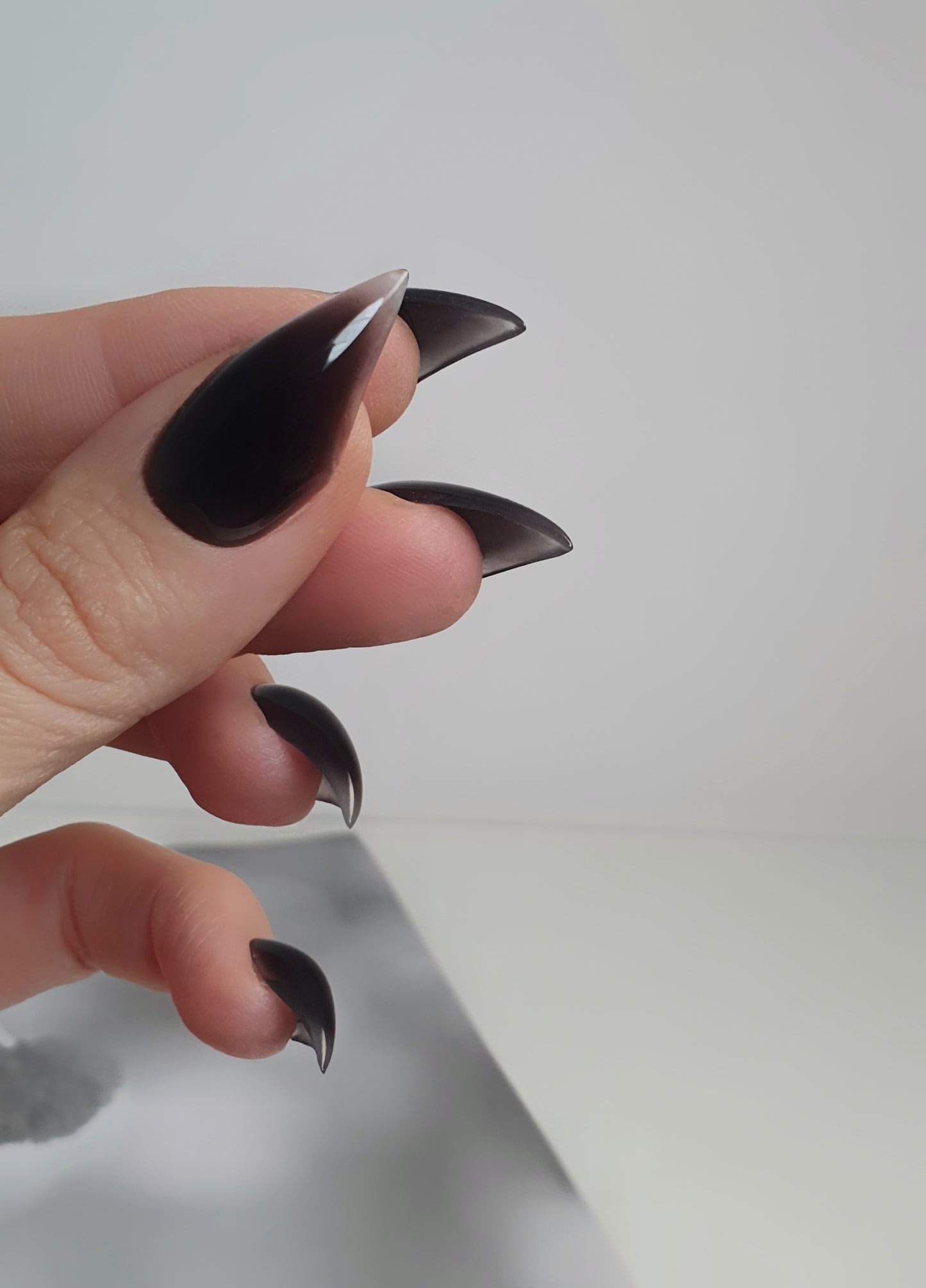 Black Nails, Gently Curved Claws of Medium Length with Transparent Tips