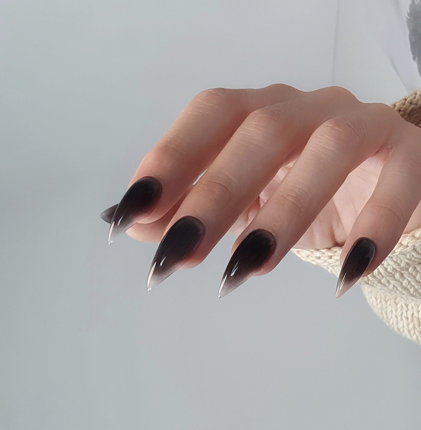 Black Nails, Gently Curved Claws of Medium Length with Transparent Tips