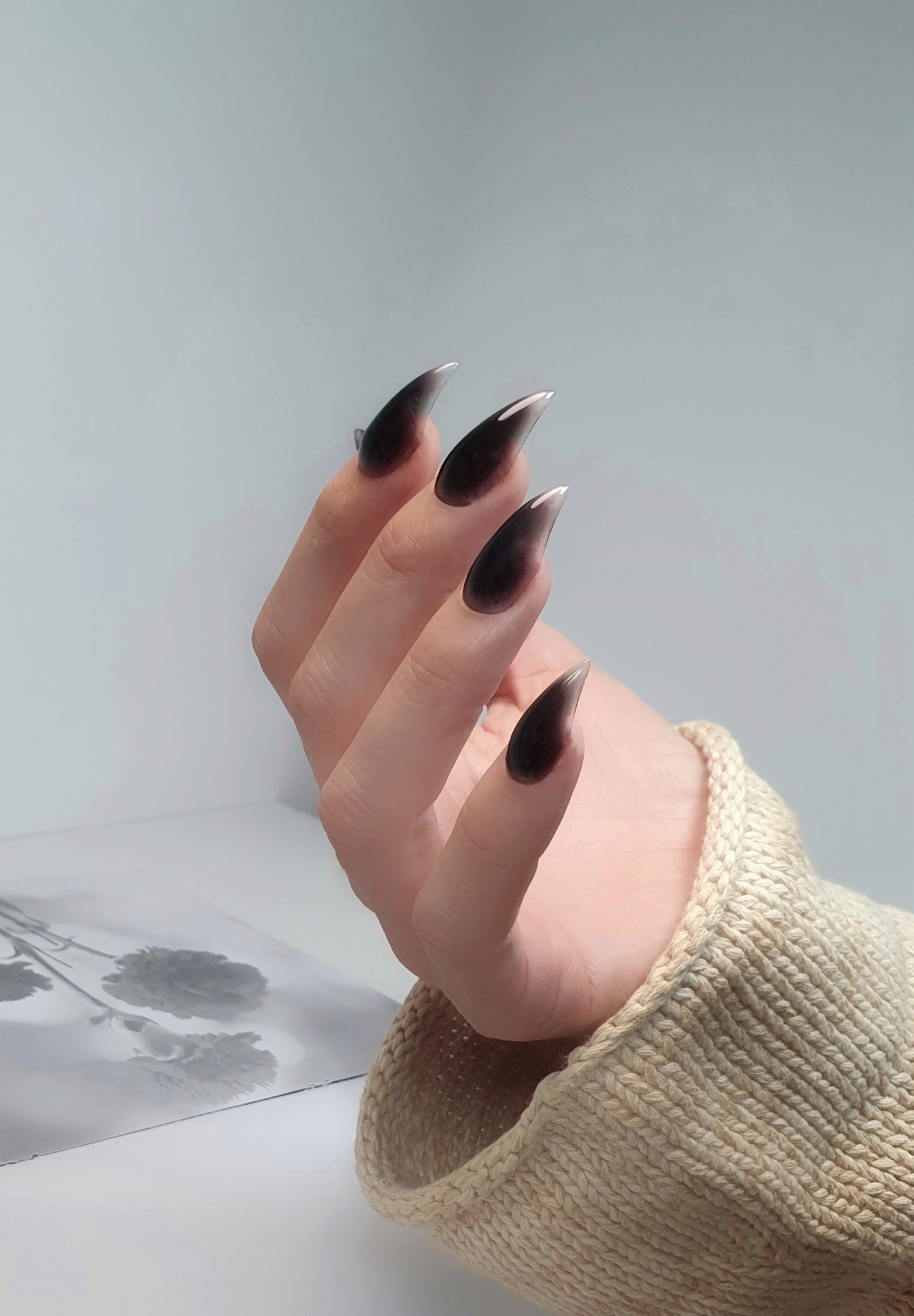 Black Nails, Gently Curved Claws of Medium Length with Transparent Tips