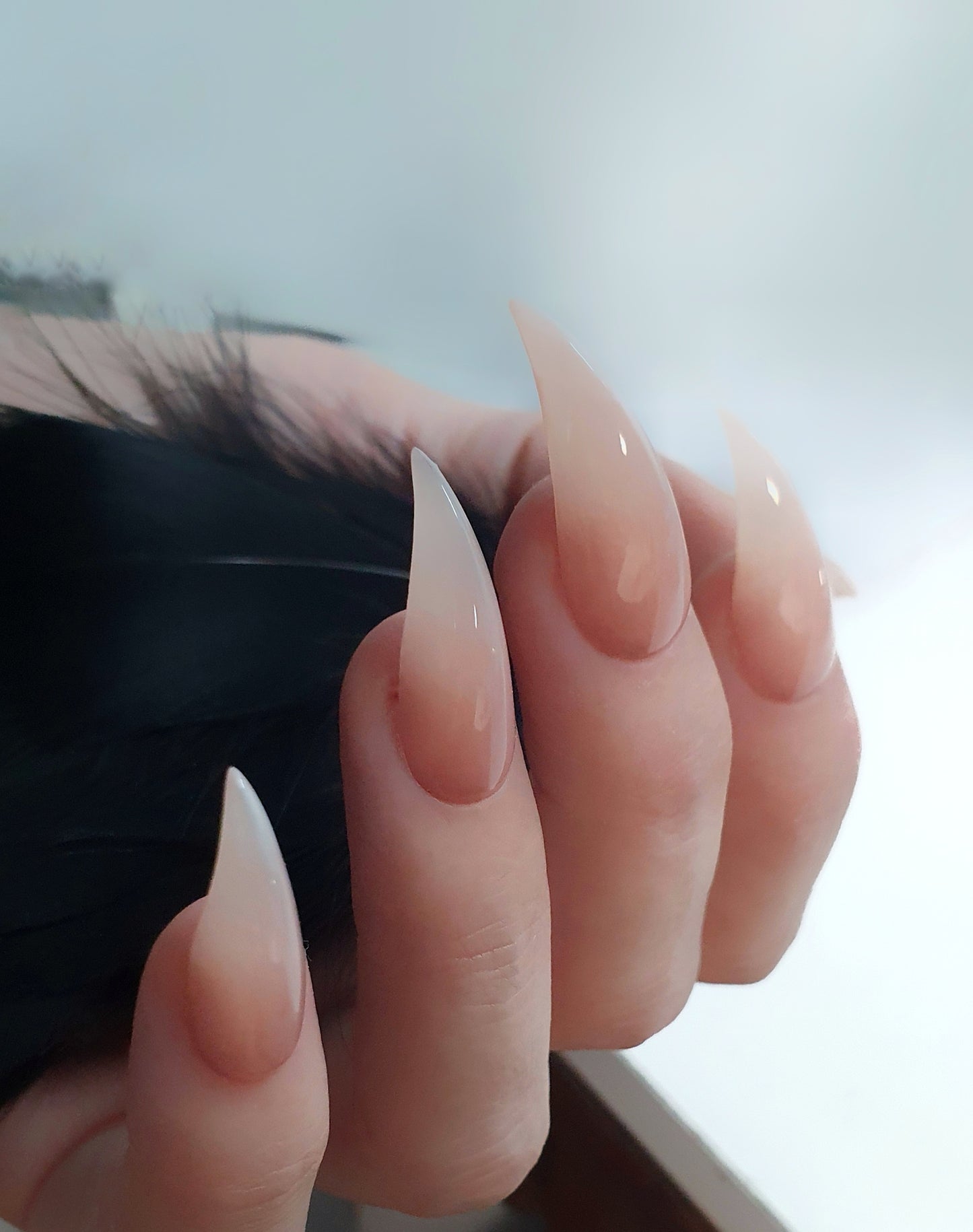 Cat Claw Press on Nails Set